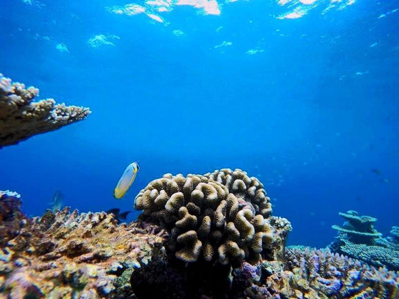 Отель Travelrim Maldives Диффуши Экстерьер фото
